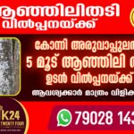 കോന്നി അരുവാപ്പുലത്ത് 5 മൂട് ആഞ്ഞിലി തടി ഉടന്‍ വില്‍പ്പനയ്ക്ക്