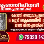 കോന്നി അരുവാപ്പുലത്ത് 5 മൂട് ആഞ്ഞിലി തടി ഉടന്‍ വില്‍പ്പനയ്ക്ക്