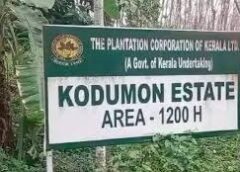 ചെങ്ങറ സമരഭൂമിയിലെ ആളുകള്‍ക്ക് കൊടുമൺ എസ്റ്റേറ്റിലെ ഭൂമി നല്‍കാന്‍ നീക്കം